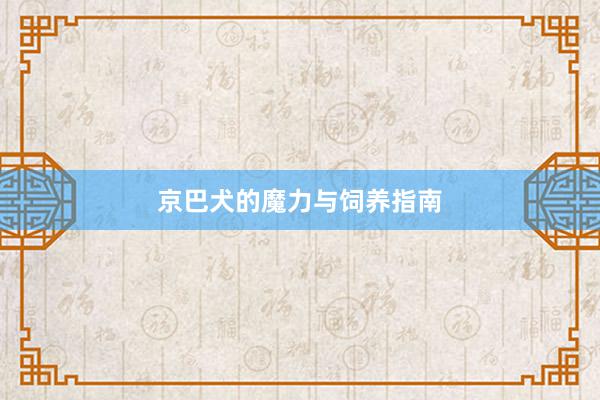 京巴犬的魔力与饲养指南