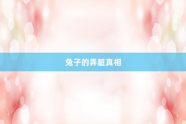 兔子的弄脏真相