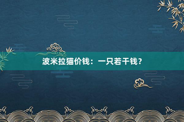 波米拉猫价钱:一只若干钱?